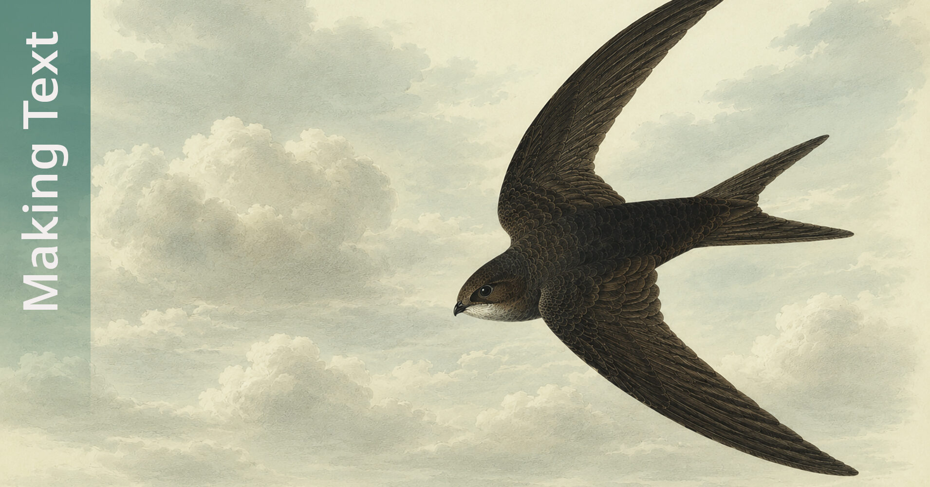 Swift article
